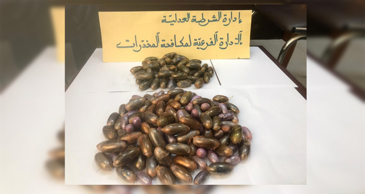 كبسولات زطلة