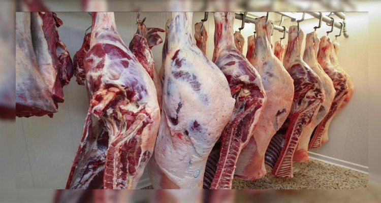 حجز 800 كيلوغراما من اللحوم الفاسدة بأحد المخازن العشوائية