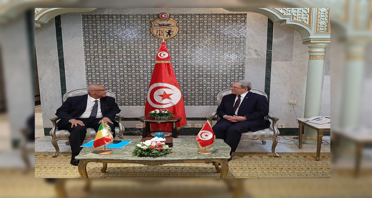 وزير الخارجية المالي