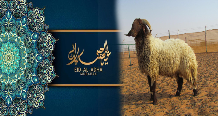 رسمي: عيد الأضحى يوم الثلاثاء 20 جويلية