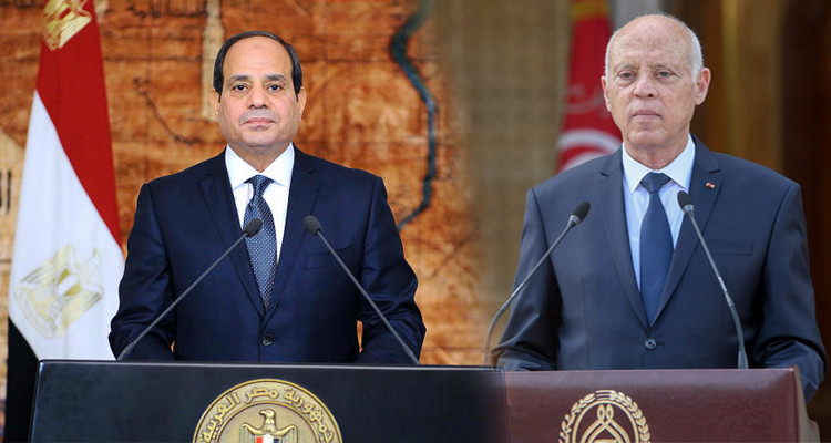 سعيّد للسيسي: أمن مصر المائي خط أحمر وجزء لا يتجزأ من الأمن القومي العربي