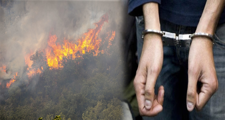 إيقاف شخص يشتبه في قيامه بإضرام النيران بغابات بنزرت 
