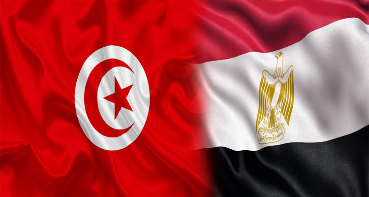 مصر تدعو الشعب التونسي إلى التهدئة وتجنب العنف ضد مؤسسات الدولة 