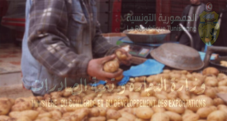بطاطا وزارة التجارة