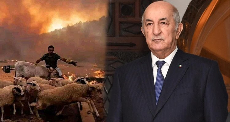 الرئيس تبون يأمر بصرف مليون دينار لكل أسرة من أسر شهداء الحرائق 