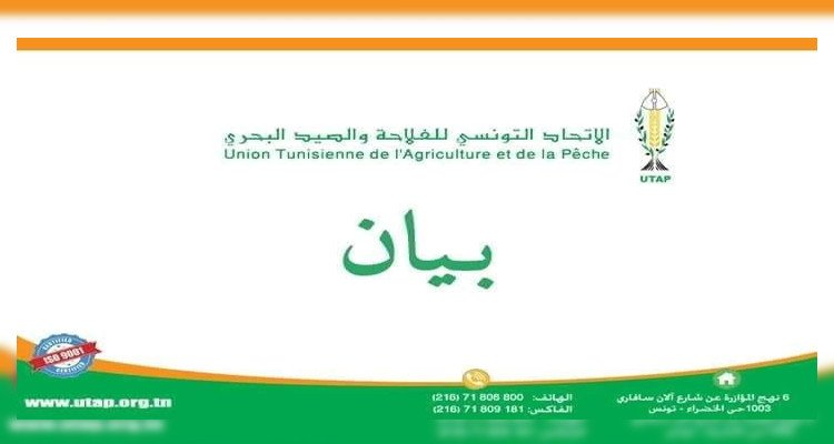 اتحاد الفلاحة والصيد البحري:ليس لنا أي طرف محمي من المساءلة في قضايا الفساد