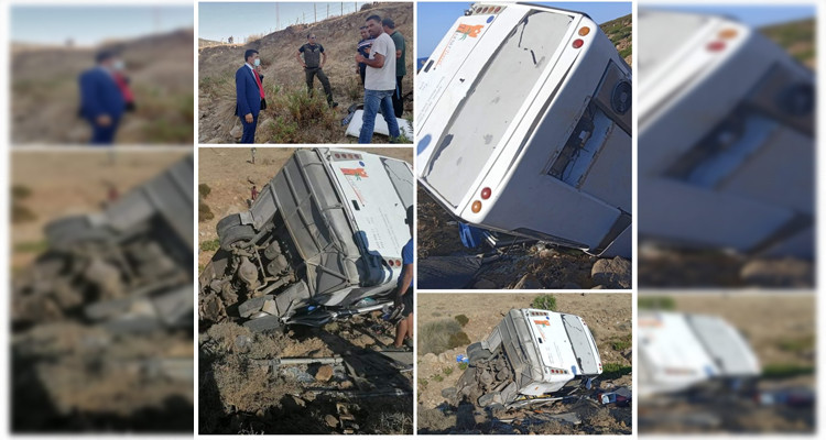 حافلة بنزرت