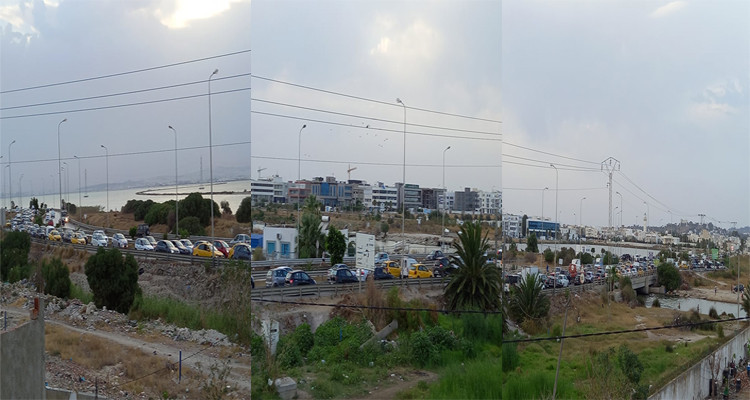 أنصار الحزب الدستوري الحر