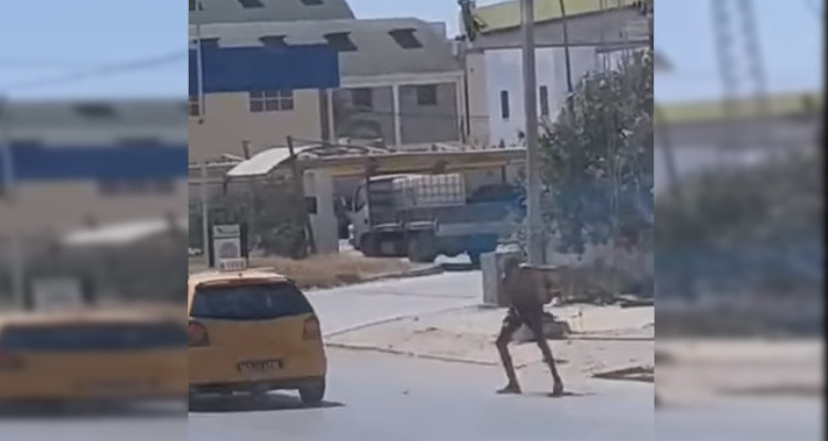 ''ولد الفار'' يقع في فخ الأمن 