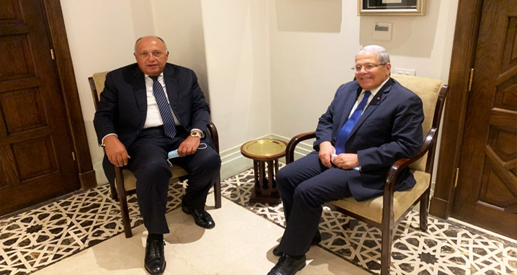 وزير الخارجية المصري: يجب دعم تونس ومساعدتها على تجاوز ظرفها الاستثنائي 