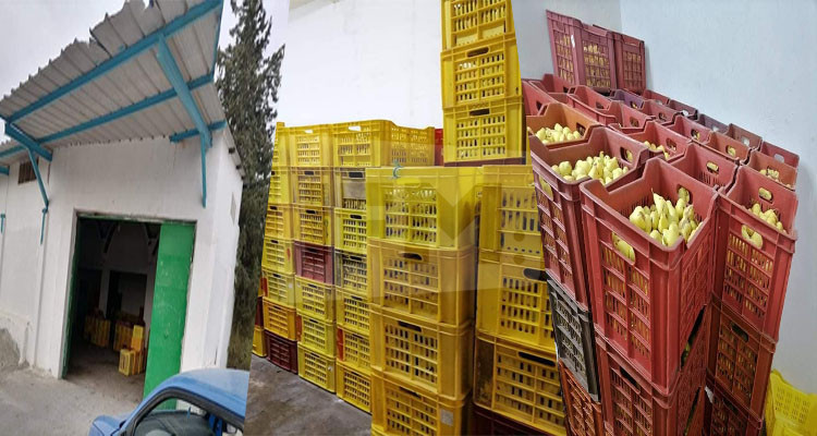 أريانة حجز غلال