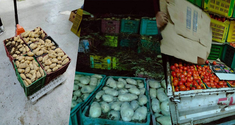 القصرين: فرق الرقابة تحجز أكثر من 5 أطنان من الطماطم والبطاطا