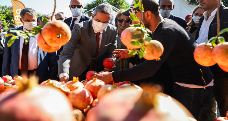 وزير السياحة تستور باجة مهرجان الرمان