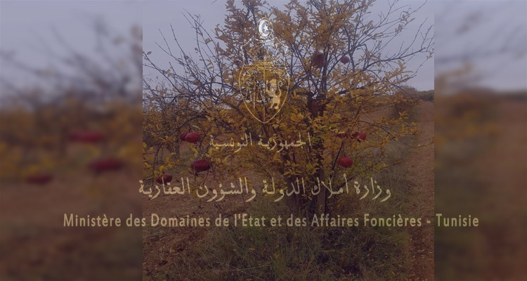 الدولة تستعيد ضيعة فلاحية تمسح 5 هكتارات بمعتمدية مارث 