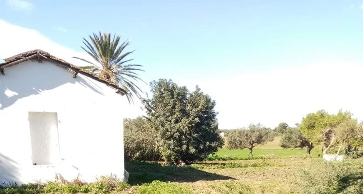 عقار بموقع استراتيجي بنزرت