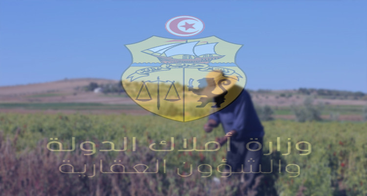 أملاك الدولة