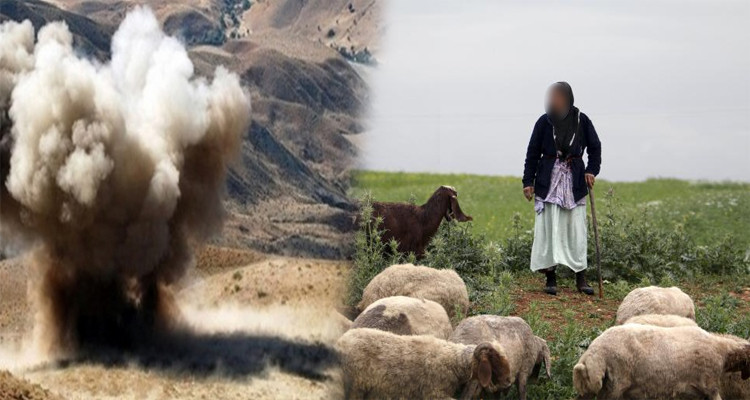 القصرين: إصابة امرأة بشظايا انفجار لغم أرضي بجبل سمامة 