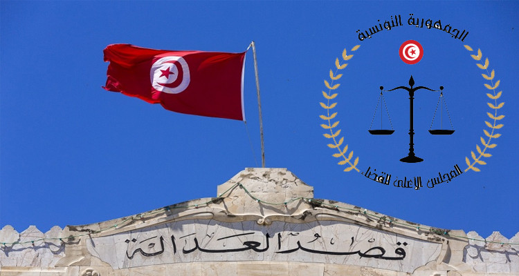 مجلس القضاء العدلي