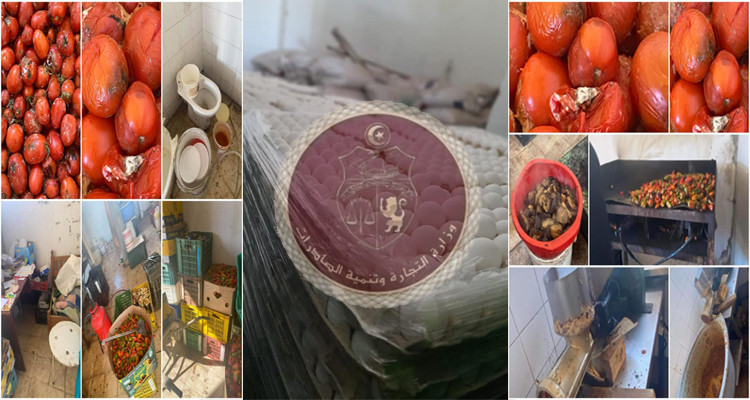 وزارة التجارة وتنمية الصادرات