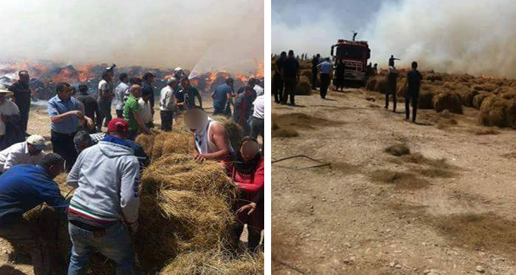 اندلاع حريق بمساحة تابعة لمصنع عجين الحلفاء بالقصرين 