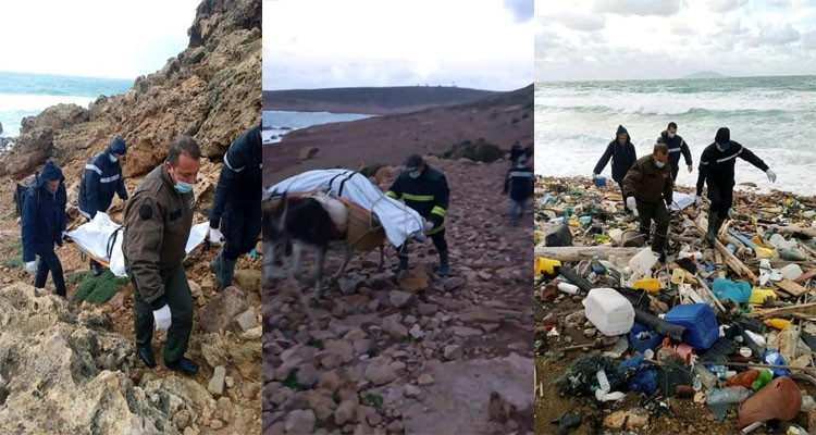 الهوارية: البحر يلفظ جثة كهل خمسيني مجهول الهوية 