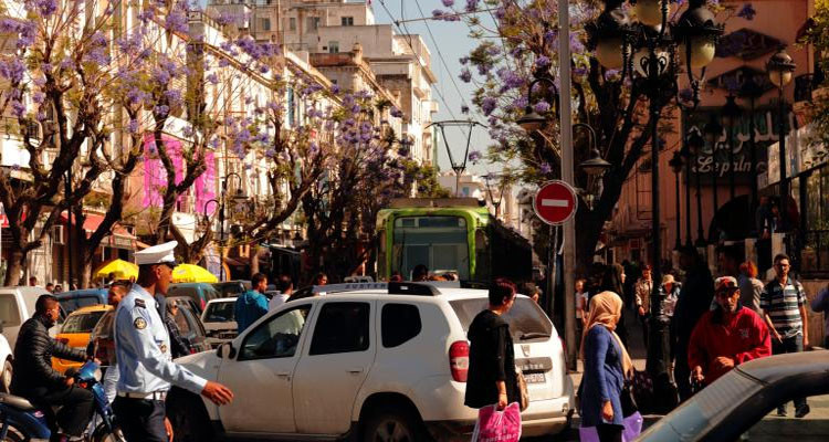 مفوضية حقوق الانسان: النظام التونسي ''يخنق المعارضة'' ويضيق على الحريات 