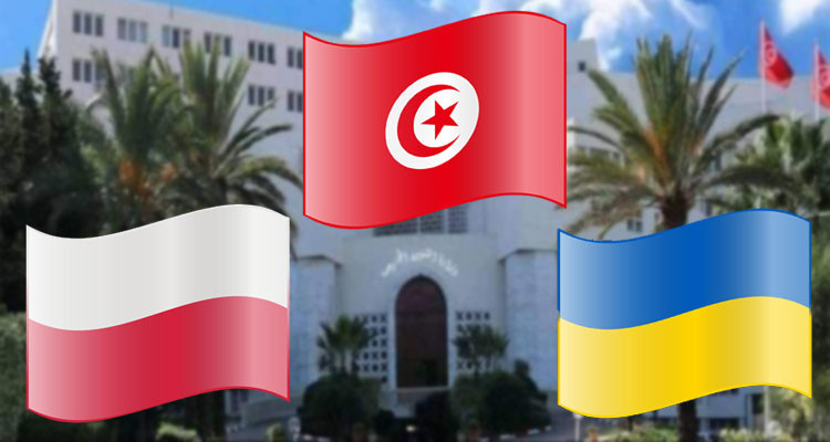وزارة الخارجية تدعو التونسيين بأكرانيا إلى تجنب التنقل إلى مناطق التوتر 