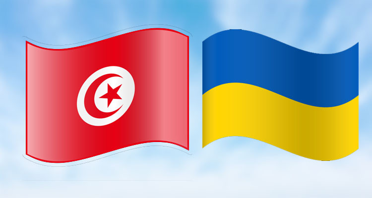وزارة الخارجية: الوضع بأكرانيا مطمئن ولا خوف مبدئيا على جاليتنا هناك 