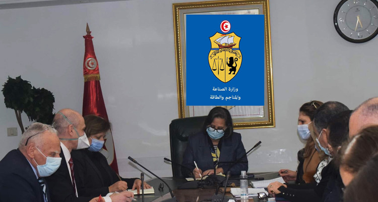 وزيرة الصناعة تكلف لجنة بهدف خفض الدعم الموجه لأسعار الكهرباء والغاز
