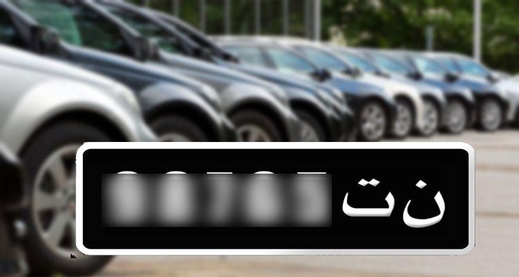 رئيس الدولة يقترح تمتيع مواطنينا بالخارج بأحكام الأمر  197 لسنة  1995  