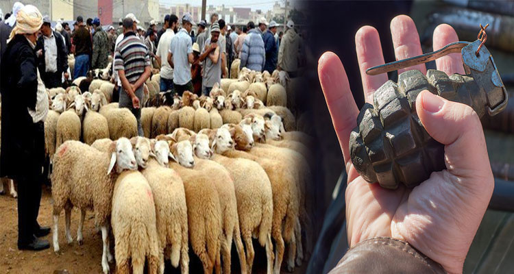 الجديّدة: عامل بسوق الأضاحي يلقي جسما يرجح أنه قنبلة ويلوذ بالفرار 