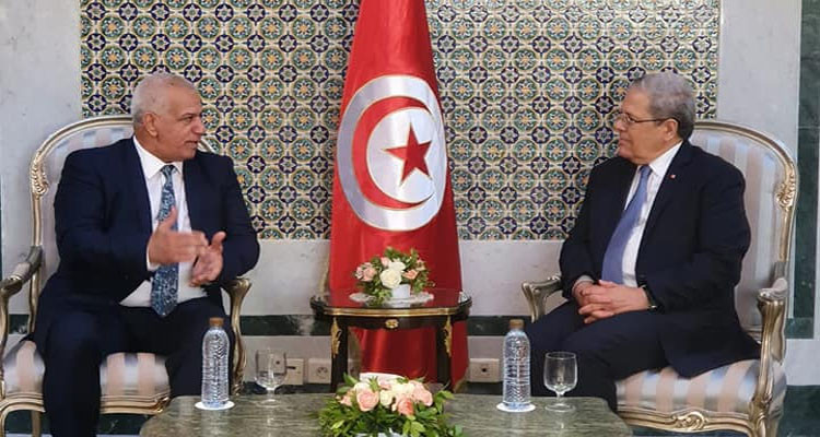 رئيس بعثة جامعة الدول العربية: الاستفتاء أجري في كنف النزاهة والشفافية 