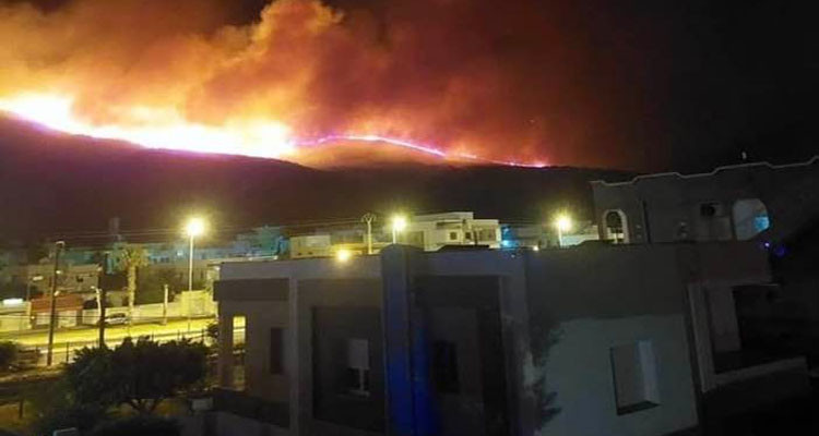 معز تريعة: طائرات الجيش نفذت طلعات جوية لإخماد نيران جبل برج السدرية