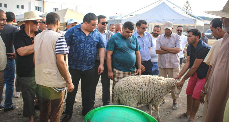 والي بن عروس يفتتح نقطة لبيع أضاحي العيد بالميزان