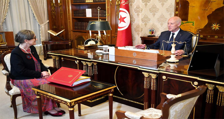 توفير الماء والنقل الجوي محور لقاء رئيس الدولة برئيسة الحكومة 