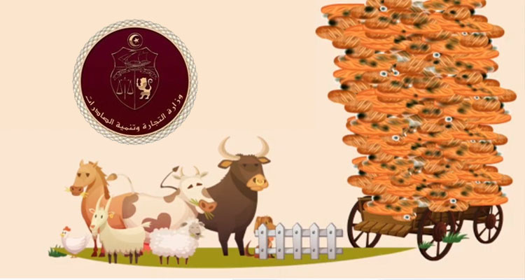 وزارة التجارة تدعو عموم التونسيين إلى ترشيد استهلاك الخبز وعدم القائه 