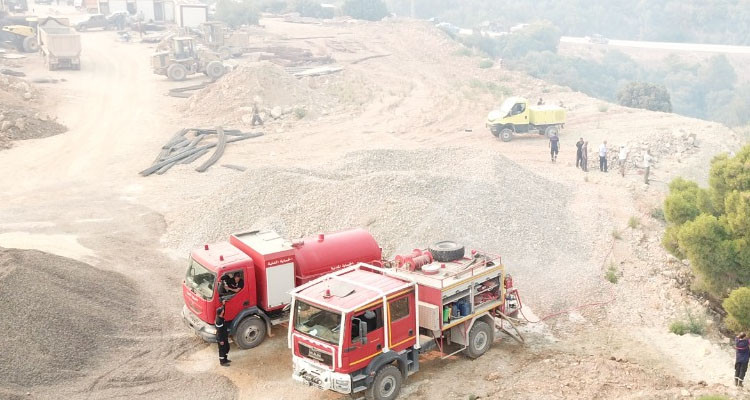 معز تريعة: الحرائق أتت على أكثر من 2900 هكتارا من المساحات الغابية 