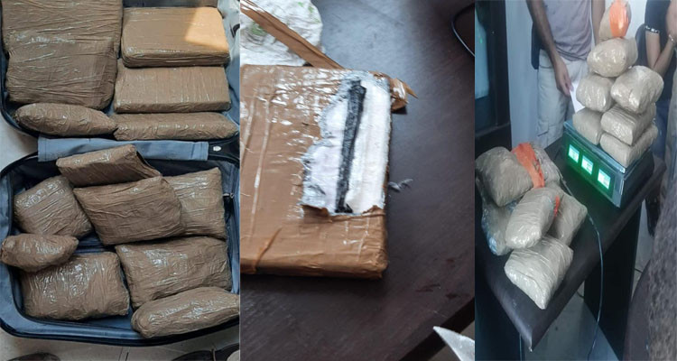 مصالح الديوانة تحبط تهريب أكثر من 14 كيلوغرام من مخدر الكوكايين 