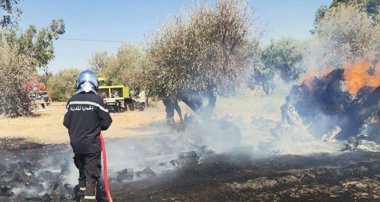 السيطرة على حريق اندلع بمستودع الحجز البلدي بمعتمدية مكثر 