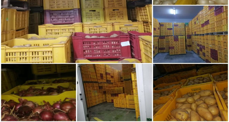 مصالح المراقبة تحبط المضاربة بأكثر من  2900 طنا من مادتي البطاطا والبصل
