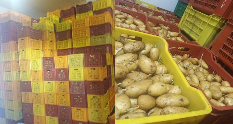 رأس الجبل: حجز عشرات الأطنان من مادتي التفاح والبطاطا بمخزن تبريد غير مصرح