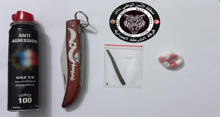 نفذت مختلف التشكيلات الأمنية بولاية نابل خلال الليلة الفاصلة بين السبت 22 والأحد