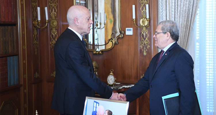 رئيس الدولة: تونس ترفض التدخل في شؤونها والانضمام إلى  أي تحالف 