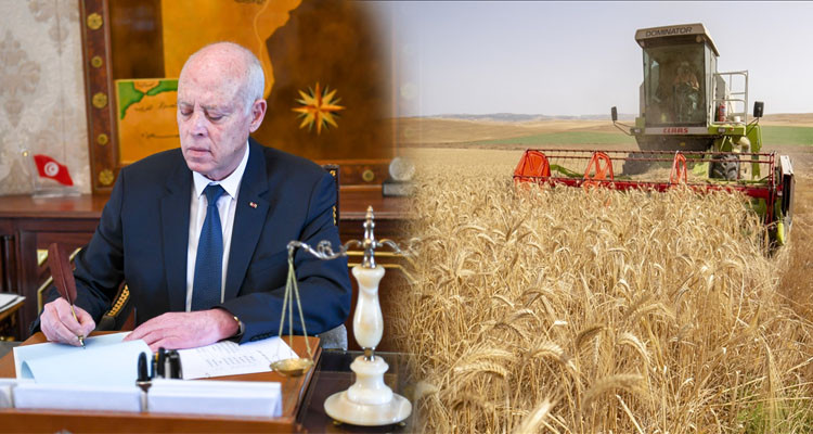 رئيس الدولة يصدر أمرا يتعلق بالأجر الأدنى المضمون للعملة الفلاحيين  