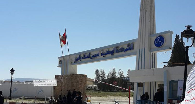 وزارة الصناعة تنفي اعتزامها تسريح بعض عمال شركة عجين الحلفاء 