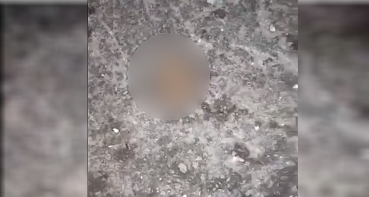 بنرزت: أعمال شغب تكشف عن وجود أجنة بشرية فوق سطح عيادة طبية (فيديو)