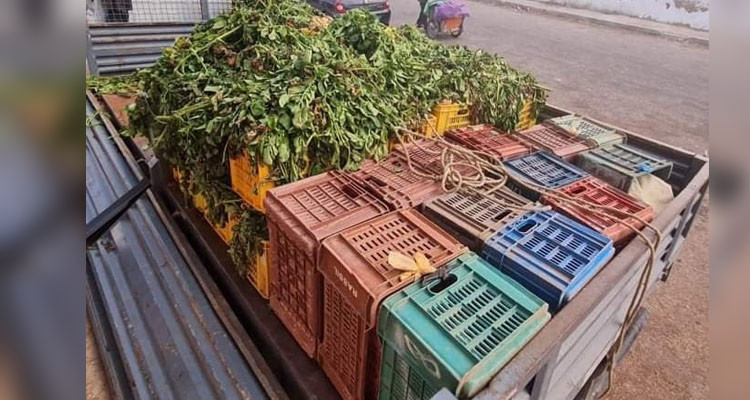 مصادرة طن ونصف من البطاطا من صاحب شاحنة وبيعها بسوق الجملة 