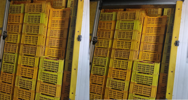 مصادرة 150 طنا من البصل من داخل مخزن تبريد امتنع صاحبه عن بيعها 