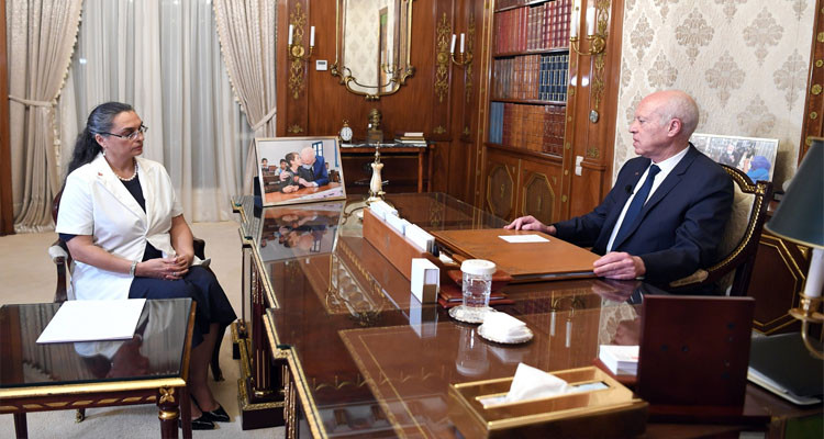 رئيس الدولة: من يسعى لإسقاط الدولة مكانه في أكوام القمامة (فيديو) 