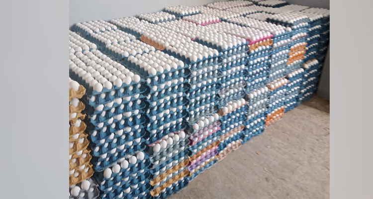 مصادرة أكثر من 25 ألف بيضة من داخل مستودع عشوائي 